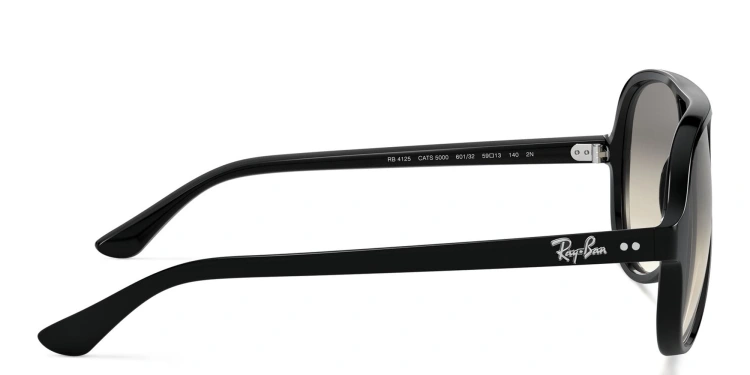 عرض راي بان إيريكا